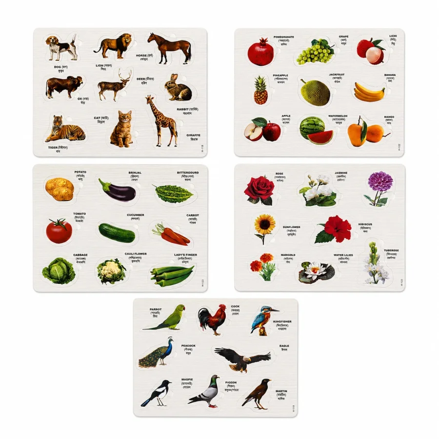 Kids Discovery Puzzle Set Animals, Birds, Fruits, Vegetables & Flowers