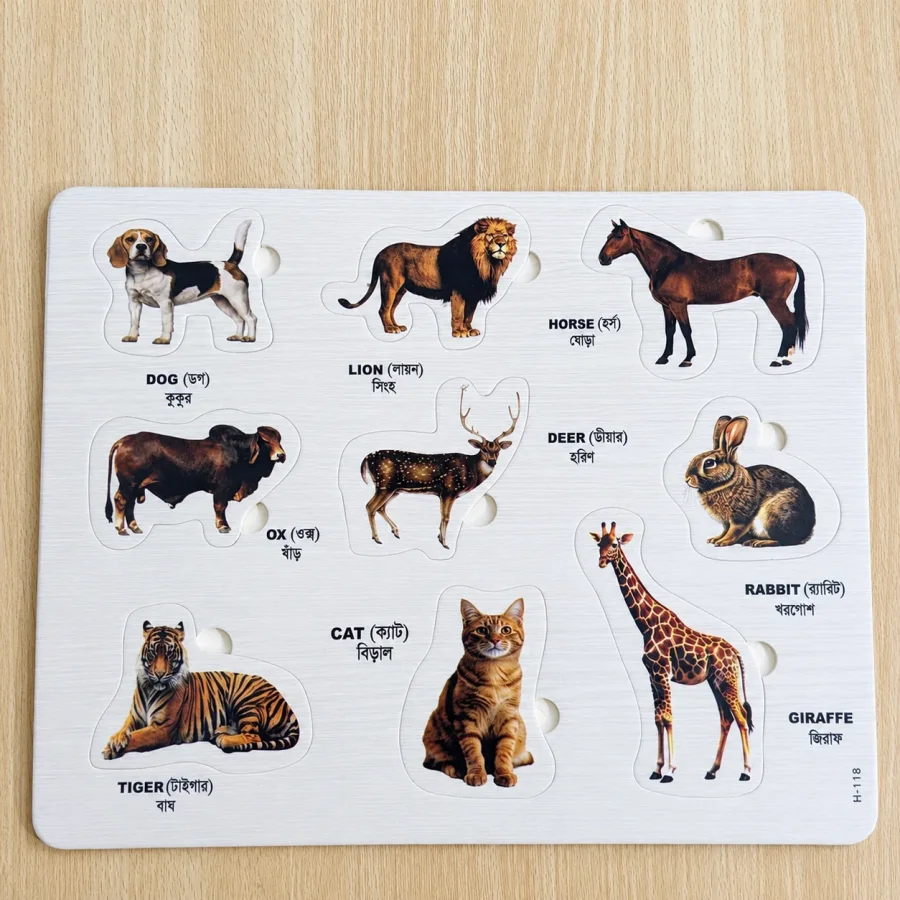 Kids Discovery Puzzle Set Animals, Birds, Fruits, Vegetables & Flowers - Image 2